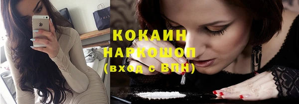 индика Санкт-Петербург