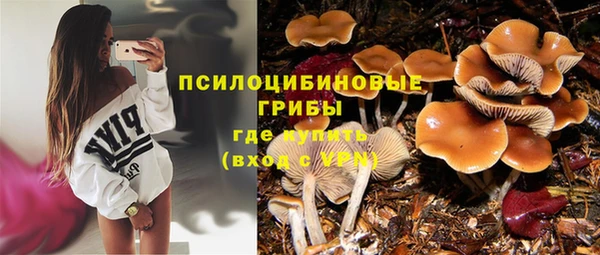 скорость Козловка
