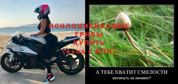 MDMA Кодинск