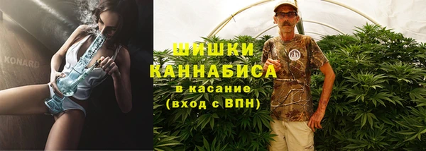 гашик Коряжма